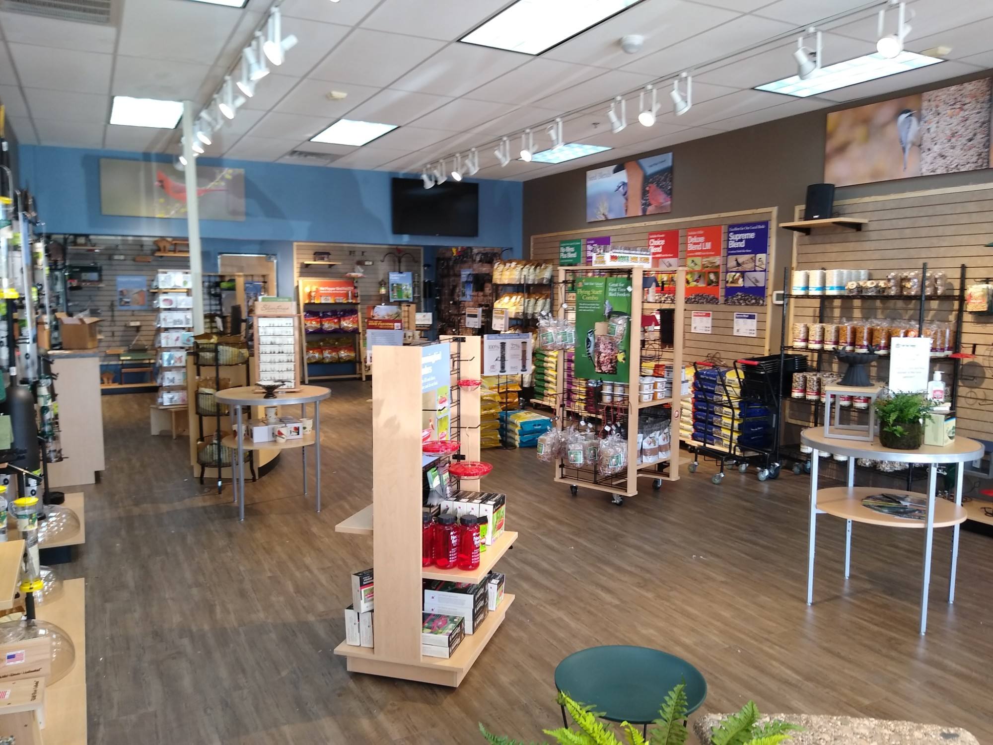 Finished retail sales floor and merchandising fixtures at Wild Birds Unlimited in Frisco, TX